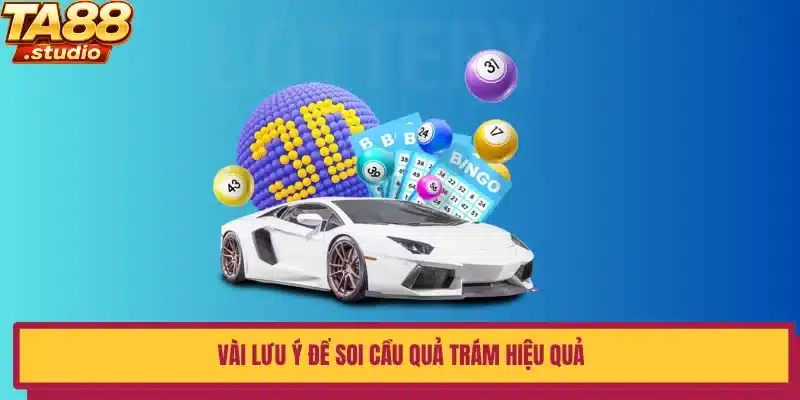 Vài lưu ý để soi cầu quả trám hiệu quả